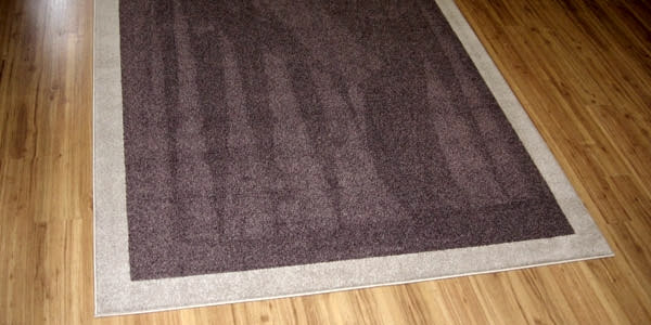 Area rug with border and carpet serging
